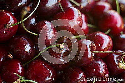 Cherry cherries ripe bright in drops of dew abundance close-up m Stock Photo