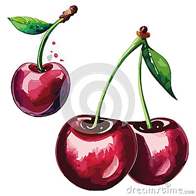 Cherry cherries vector illustration. Vector Illustration