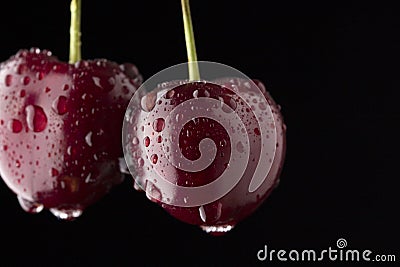 Cherry closeup. Organic ripe cherries covered with water drops on black background, macro shot Stock Photo