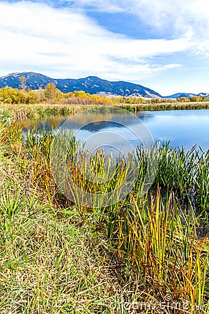 Cherry Creek Preserve Stock Photo