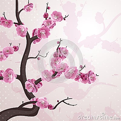 Cherry flowers. Card with spring blossom. Vector Illustration