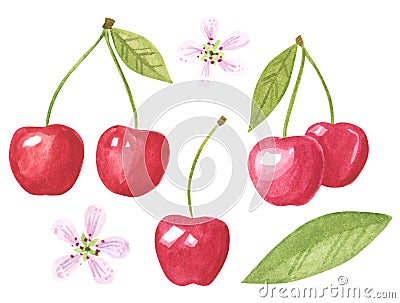 Cherry fruit clipart set. Hand drawn watercolor illustration Cartoon Illustration