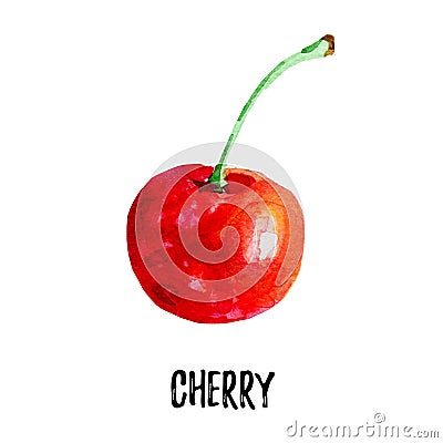 Cherry illustration. Hand drawn watercolor on white background. Cartoon Illustration