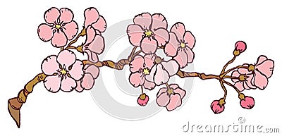 Cherry or japan sakura branch Vector Illustration