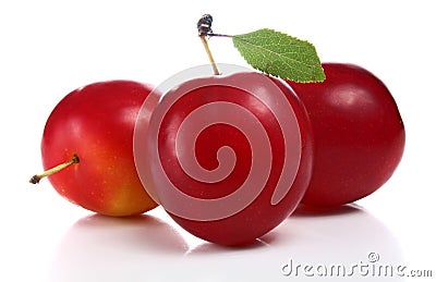 Cherry-plum Stock Photo