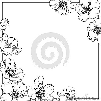 Cherry sakura aliche tree spring flowers frame Vector Illustration