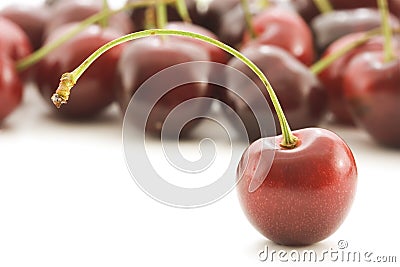 Cherry stand Stock Photo