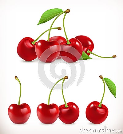 Cherry. Sweet fruit. 3d vector icons set Vector Illustration