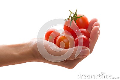 Cherry tomato in hand Stock Photo