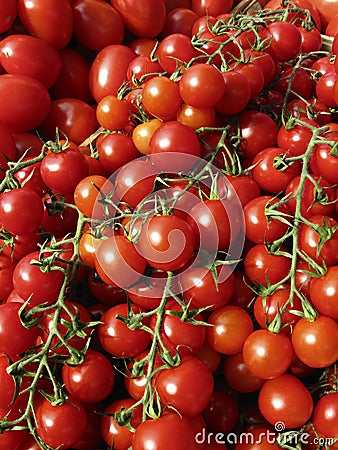 Cherry Tomatoes Stock Photo