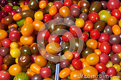 Cherry tomatoes Stock Photo