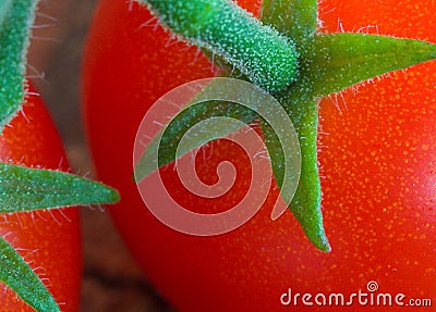 Cherry Tomatoes on Stem Stock Photo