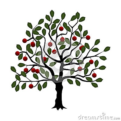 Cherry tree Vector Illustration