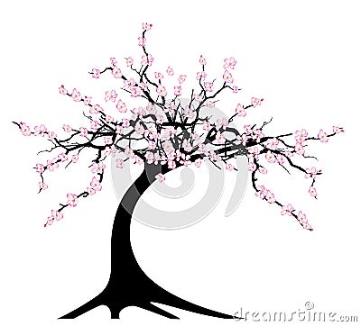 Cherry tree Vector Illustration