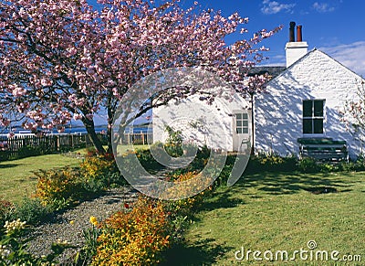 Cherry tree cottage, Crinan, Scotland Stock Photo