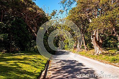 Cherry Tree Hill, a popular historic avenue in the North Eastern part of Barbados, Stock Photo