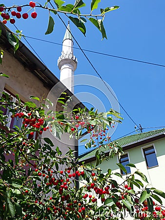 Cherry tree next to mosque Stock Photo