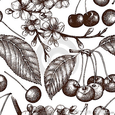 Vector seamless pattern with hand drawn cherry tree. Hand drawn illustration. Engraved fruit and berry background. Vintage design. Cartoon Illustration