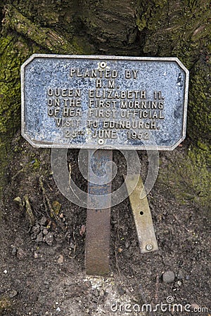 Cherry Tree Plaque in Canongate Kirkyard Editorial Stock Photo