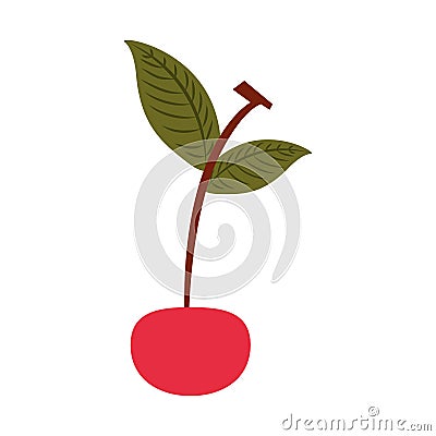 Cherry tropical and exotic fruit Vector Illustration