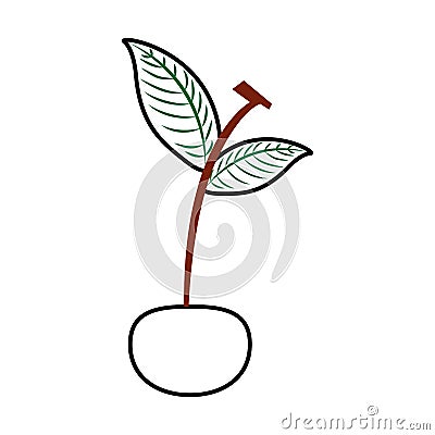 Cherry tropical and exotic fruit Vector Illustration