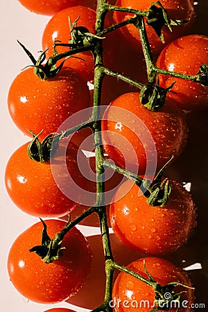 Cherry Truss Tomatoes on stamp Stock Photo