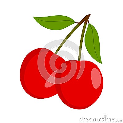 Cherry vector.Fresh cherry illustration Vector Illustration