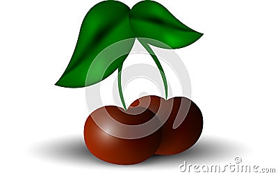 Cherry Vector Illustration