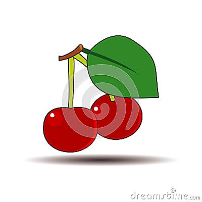 Cherry, vector. tree fruit vector summer Vector Illustration