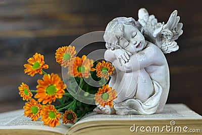 Cherub sleeping on open book Stock Photo