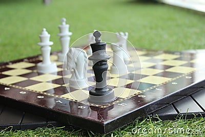 Chess on the Chess board Stock Photo