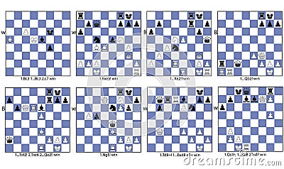 Chess game collection tactical theme of deviation Stock Photo
