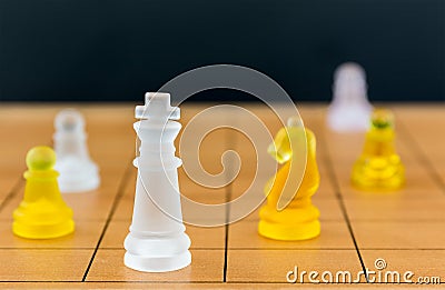 Chess glass on a wood chessboard Stock Photo