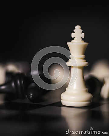 Chess King Stock Photo