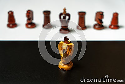 chess king in opposition Stock Photo