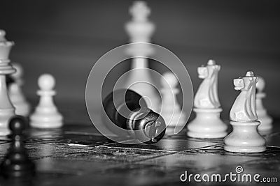 Chess photographed on a chessboard Stock Photo