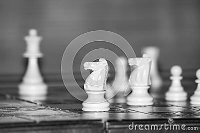 Chess photographed on a chessboard Stock Photo