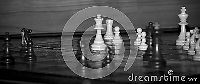 Chess photographed on a chessboard Stock Photo