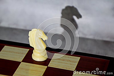 Chess piece white knight and its shadow in profile. Romance of chess as a sport Stock Photo