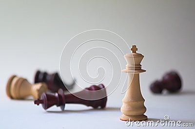 Chess. shot of chess. daylight and bokeh Stock Photo