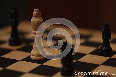 Chess white black nice cool best old zenit movies Stock Photo