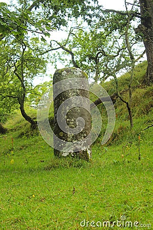 Chesterholme Roman Milestone, Vindolanda Stock Photo