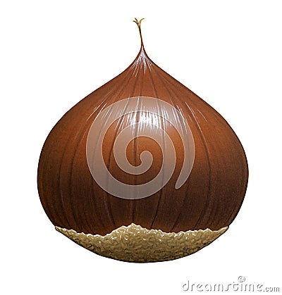 Chestnut Cartoon Illustration