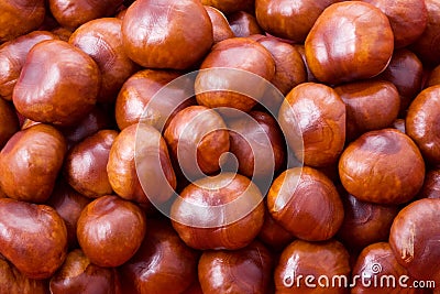 Chestnut background Stock Photo