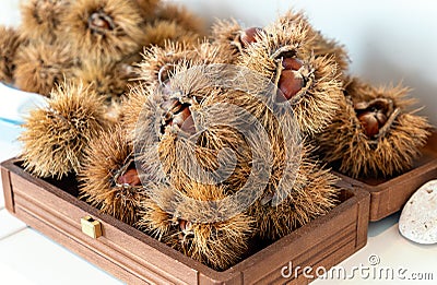 Chestnut curls. fall, winter healthy tasted food Stock Photo