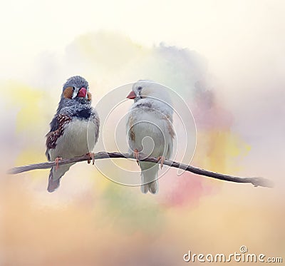 Pair of chestnut-eared finches watercolor Stock Photo