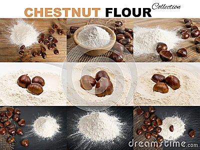 Chestnut Flour with Edible Sweet Chestnuts, Christmas Food Stock Photo