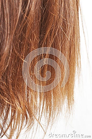 Chestnut hair ends on white Stock Photo
