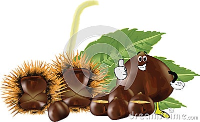 Chestnut hedgehog with its fruit- Vector Illustration