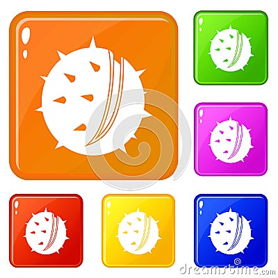 Chestnut icons set vector color Vector Illustration